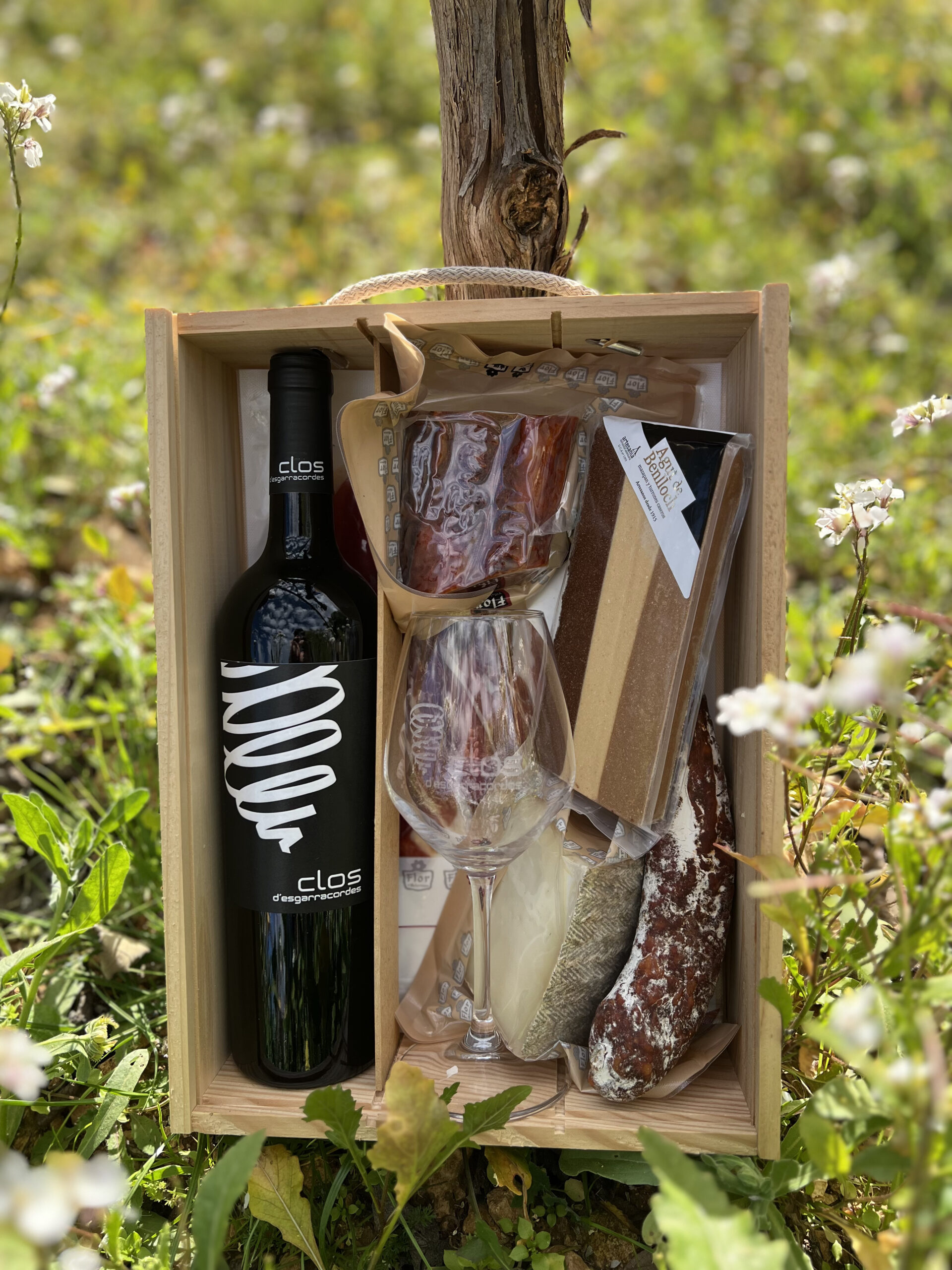 Pack Gourmet: Crianza Barón d'Alba, selección embutidos de proximidad y turrones artesanos.